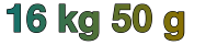 Option c