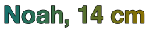 Option c