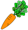 carrot