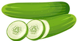 cucumber