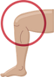 knee