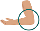elbow