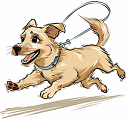 A dog running