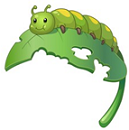 A caterpillar chewing on leaf