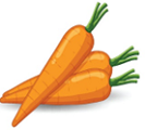 carrot