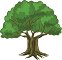 Oak tree