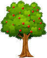 Apple tree