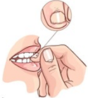 Option c