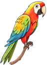 Parrot
