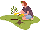 Planting tree saplings