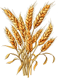 grains