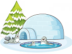 Igloo