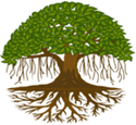 Banyan tree – Herb