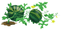 Watermelon – Creeper