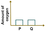 Option b