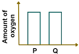 Option c